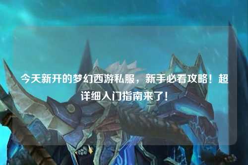 今天新開的夢幻西游私服，新手必看攻略！超詳細(xì)入門指南來了！