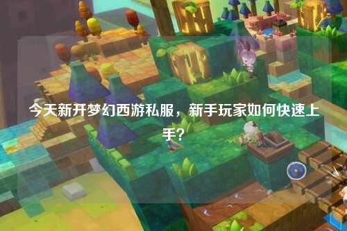 今天新開夢幻西游私服，新手玩家如何快速上手？
